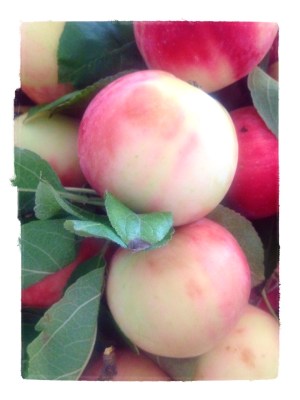 Made with Repix (http://repix.it)